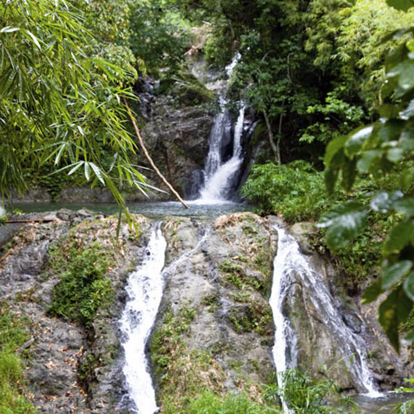 Argyle Waterfall & 
                                                       	    Adventure Farm tour